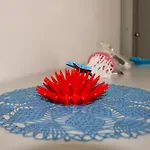 Alojamento de Acomodação e Pequeno-almoço La Bella Dimora