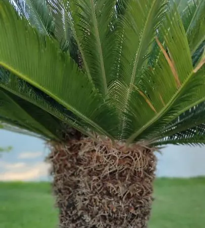 La Bella Dimora 3* 오트란토